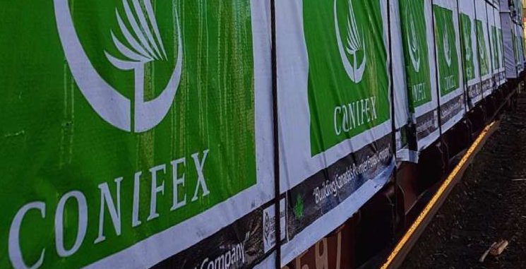 这家木材巨头业绩公布：二季度收入2740万，但关税累计缴了4170万(图3)