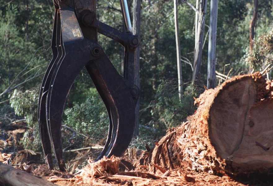 出口下滑22.9%,木材出口仍是关键支柱行业!(图2) 出口下滑22.9%,木材出口仍是关键支柱行业!(图2)