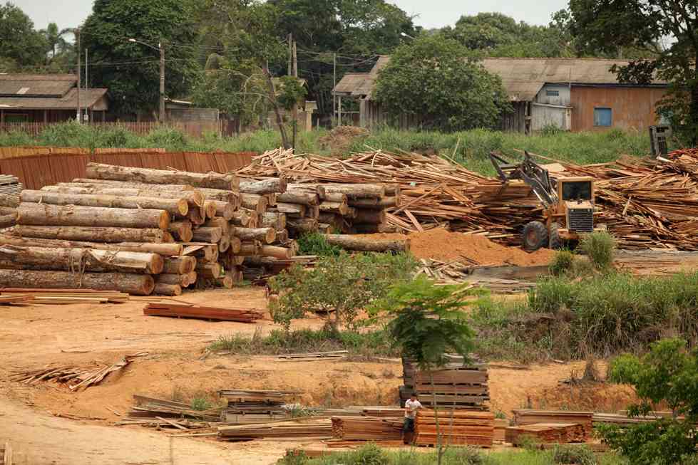 美国关税升至 50% 冲击巴西木材出口:订单取消潮来袭,产区停工风险加剧(图1) 美国关税升至 50% 冲击巴西木材出口:订单取消潮来袭,产区停工风险加剧(图1)