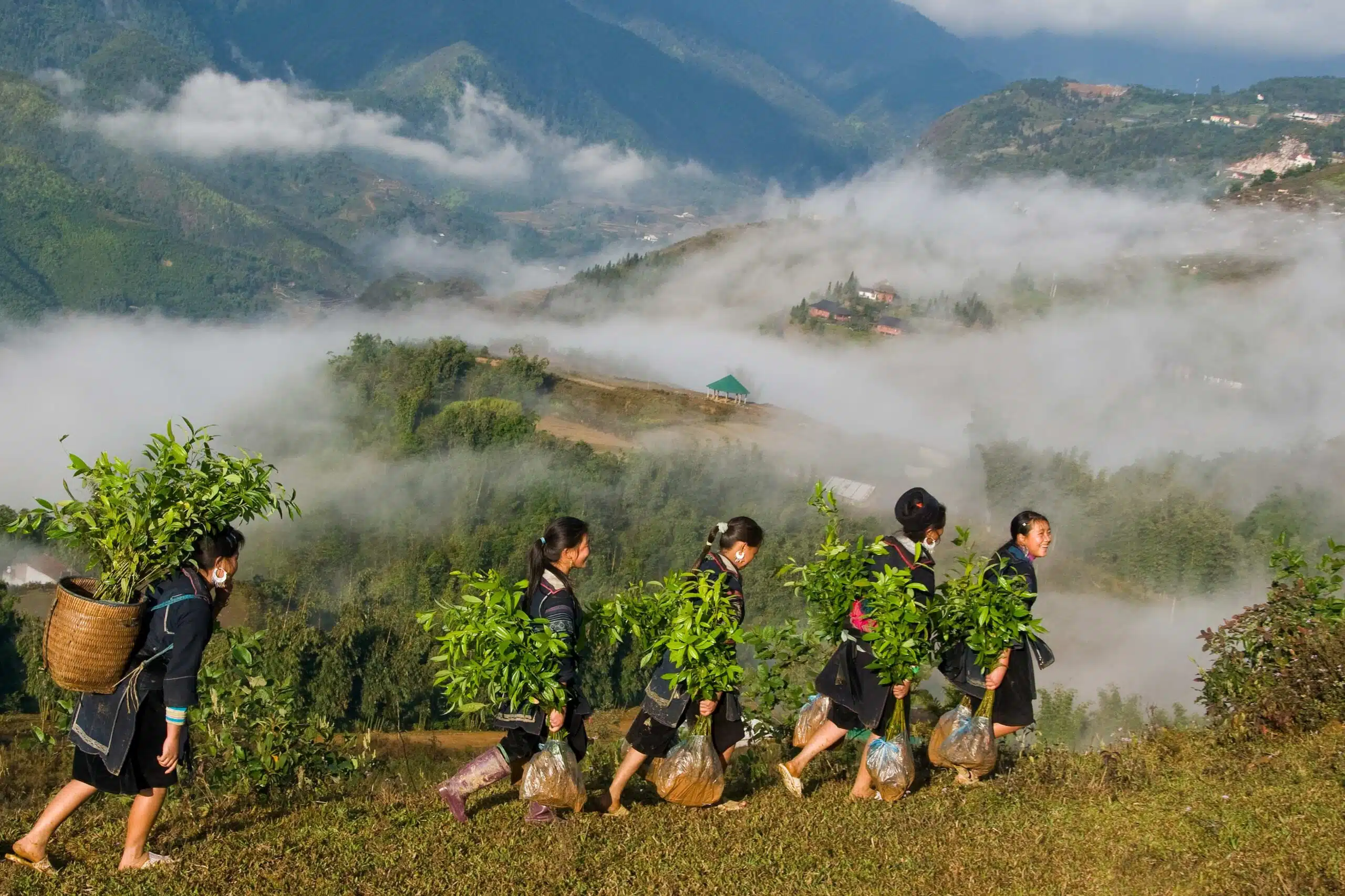 小农户供应链遇合规难题,欧盟 EUDR 遭质疑 WDK 呼吁简化天然橡胶追溯流程(图2) 小农户供应链遇合规难题,欧盟 EUDR 遭质疑 WDK 呼吁简化天然橡胶追溯流程(图2)