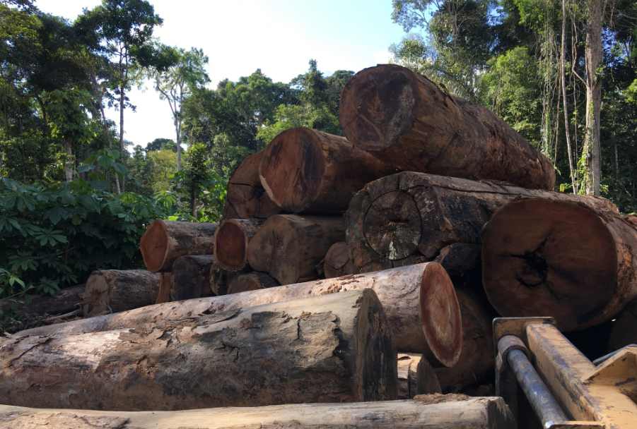 重创!一木材大厂濒临倒闭!超800人面临失业,当地:绝不坐视不管(图2) 重创!一木材大厂濒临倒闭!超800人面临失业,当地:绝不坐视不管(图2)