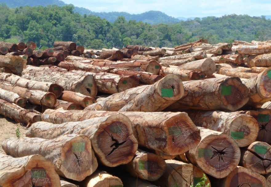 重创!一木材大厂濒临倒闭!超800人面临失业,当地:绝不坐视不管(图3) 重创!一木材大厂濒临倒闭!超800人面临失业,当地:绝不坐视不管(图3)