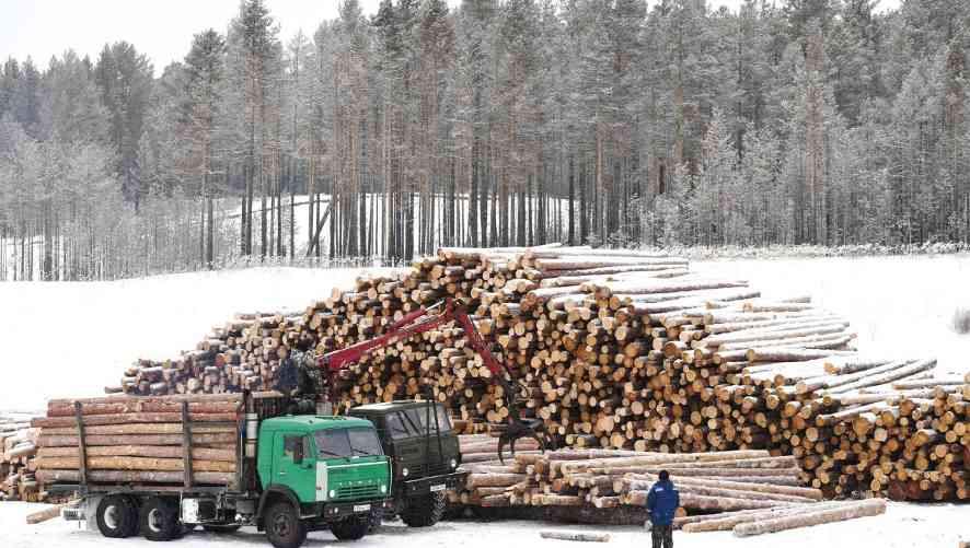 布里亚特共和国向中国出口木材9.74万m³，托木斯克州19%出口至中国(图1)