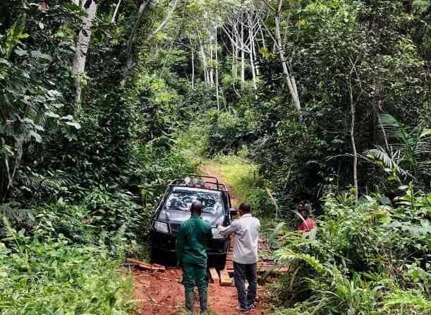 37.2万亿VS 0.3%！非洲国家坐拥“摇钱树”，为何却只拿零头？(图2)