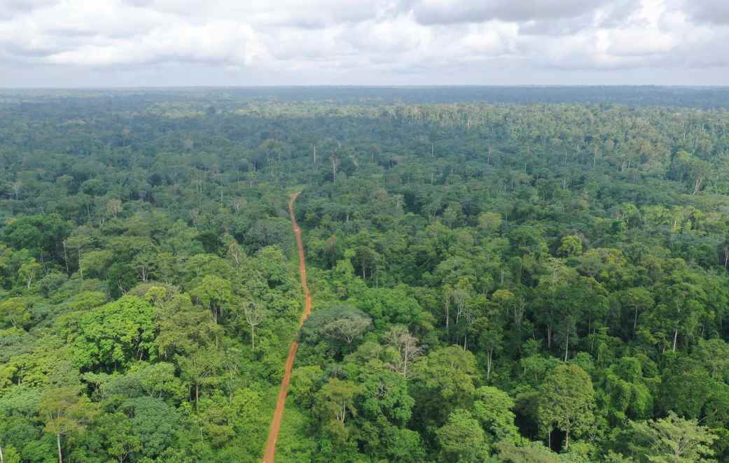 37.2万亿VS 0.3%！非洲国家坐拥“摇钱树”，为何却只拿零头？(图3)