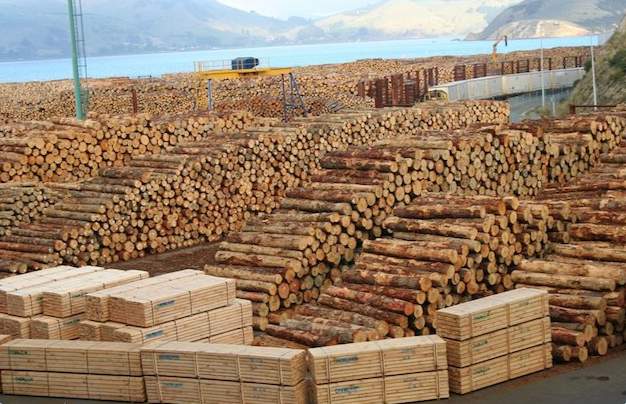 遭遇西方“围堵”，这地通过期货工具实现木材交易量达230万m³(图2)