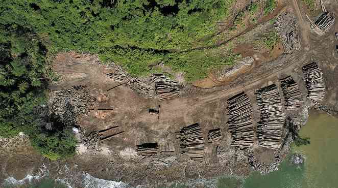 从“木头直接卖”到“技术一起赚”!所罗门参与“中国林业课”!(图1) 从“木头直接卖”到“技术一起赚”!所罗门参与“中国林业课”!(图1)