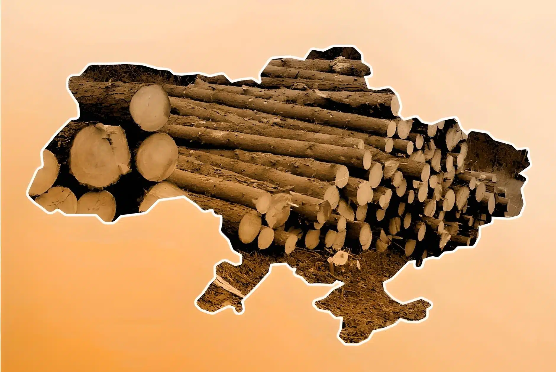 1.67亿损失背后：乌克兰林业系统的“数据造假”黑幕(图2)