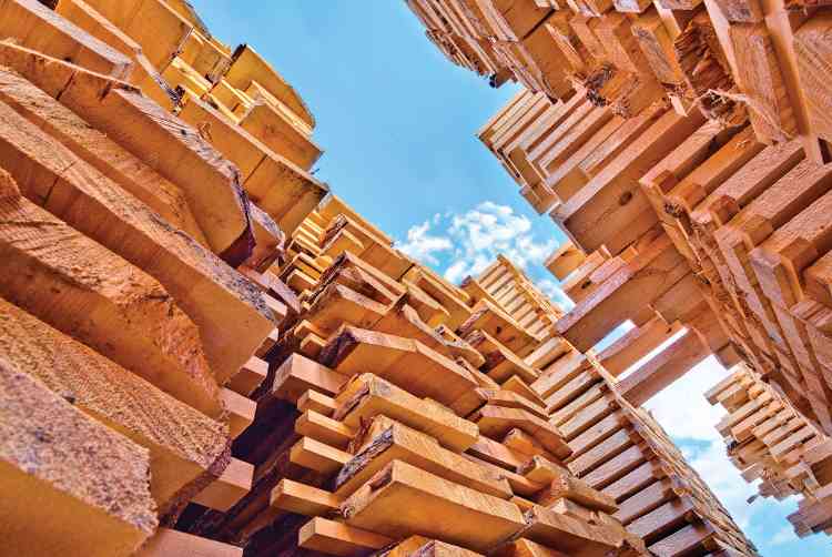 美加软木木材关税之争：成本飙升成定局，房产市场再承压！(图2)