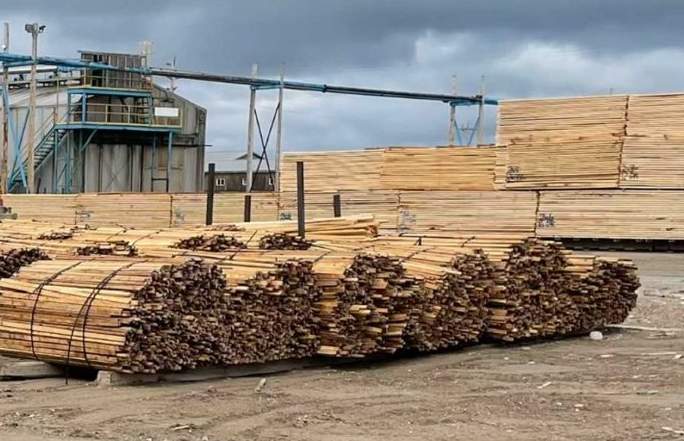 美加软木木材关税之争：成本飙升成定局，房产市场再承压！(图1)