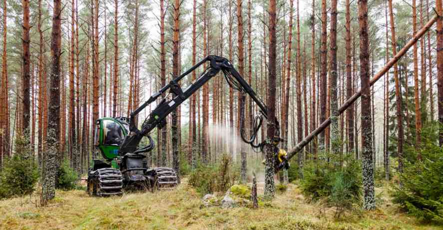 印度刚宣布！千亿住房新规撬动木材新蓝海，行业巨头已嗅到商机！(图2)
