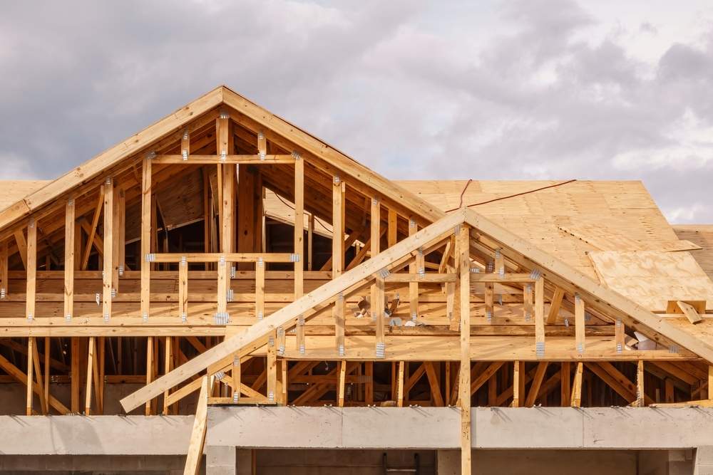 从中国到美国:全球原木市场震荡,新西兰辐射松成“风暴中心”(图3) 从中国到美国:全球原木市场震荡,新西兰辐射松成“风暴中心”(图3)