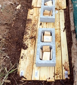 抗洪水、耐热浪还防白蚁！H2F蓝松 timber 经住6个月极限测试(图2)