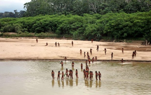 从“认证争议”到“隔离权保障”：FSC如何救赎马什科皮罗人的森林？(图1)