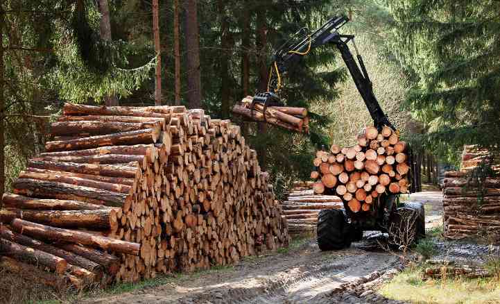 全球木材供应链大洗牌,中国能吃到多少低价“肥肉”?(图1) 全球木材供应链大洗牌,中国能吃到多少低价“肥肉”?(图1)