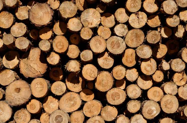 木材厂干一单亏一单？行业预警：圣诞旺季恐变裁员季！(图3)