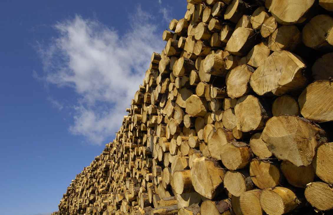 对木材加征更高关税,但为何仍不足以刺激林业投资?(图1) 对木材加征更高关税,但为何仍不足以刺激林业投资?(图1)