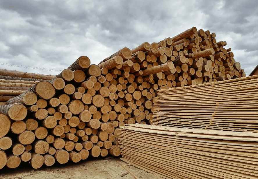 新法案延期在即，锯材行业面临成本攀升与不确定性(图3)