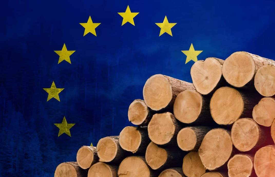 新法案延期在即，锯材行业面临成本攀升与不确定性(图1)