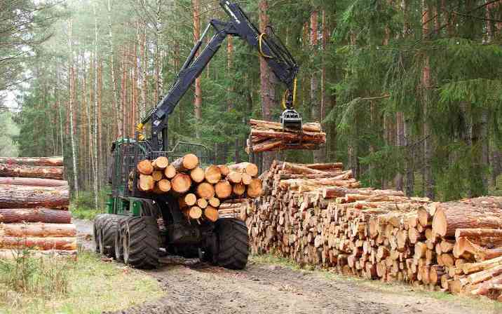 全球首创木板产品将在安大略省量产(图2)