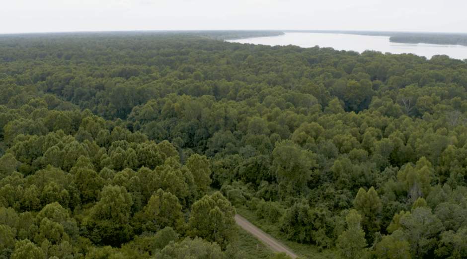 17.3万英亩林地被收购!(图2) 17.3万英亩林地被收购!(图2)