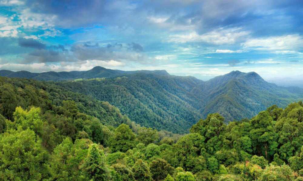 澳大利亚热带森林碳汇功能衰退,气候变化引发生态临界点预警(图1) 澳大利亚热带森林碳汇功能衰退,气候变化引发生态临界点预警(图1)