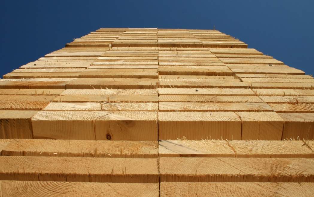 软木销量爆表,木材商却笑不出?高景气背后的三大“砍刀”逼近(图3) 软木销量爆表,木材商却笑不出?高景气背后的三大“砍刀”逼近(图3)