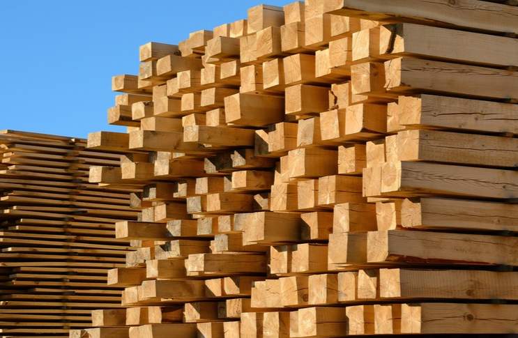 软木销量爆表,木材商却笑不出?高景气背后的三大“砍刀”逼近(图1) 软木销量爆表,木材商却笑不出?高景气背后的三大“砍刀”逼近(图1)