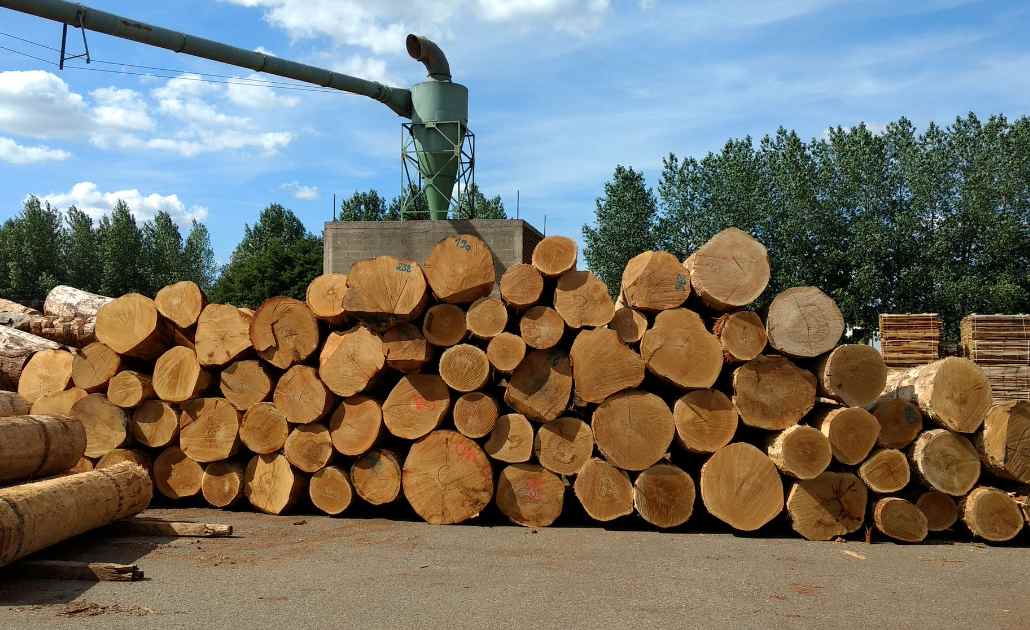 这地木材价格全面跳涨！市场整体处于“紧平衡”状态(图1)