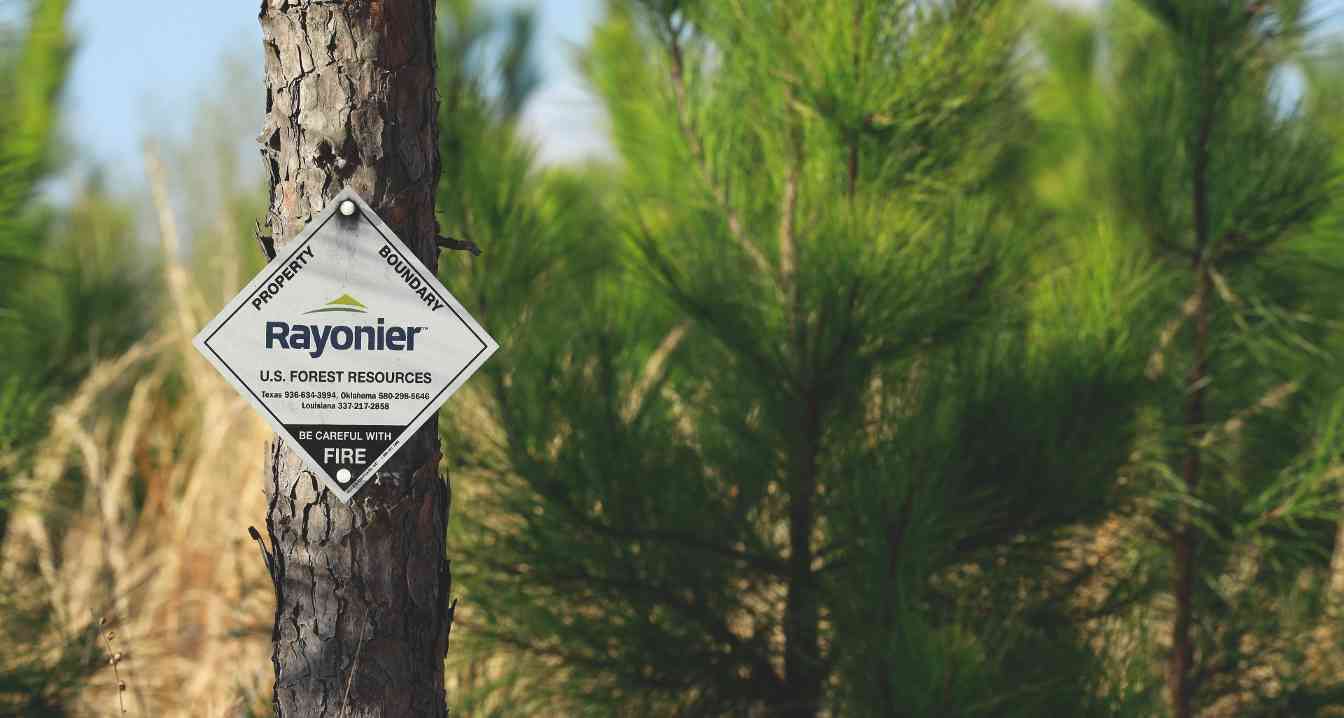 美国两大林业巨头Rayonier与PotlatchDeltic合并，缔造420万英亩林地管理版图(图1)