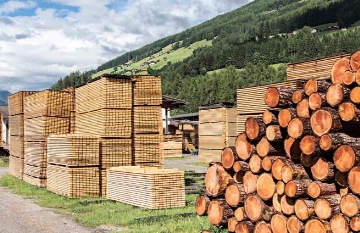 这地木材价格全面跳涨！市场整体处于“紧平衡”状态(图2)