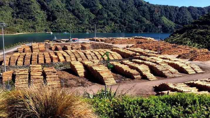 木材出口到欧美的溢价空间是中国市场的2.2–5倍？(图3)