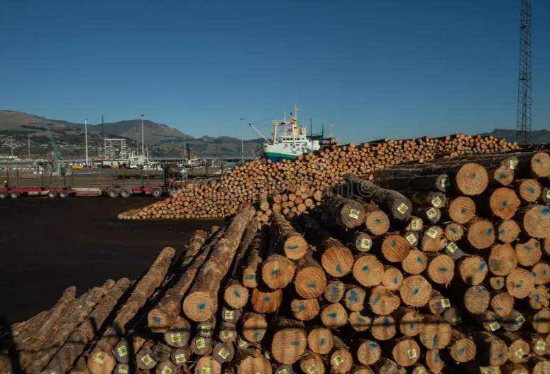 木材出口到欧美的溢价空间是中国市场的2.2–5倍？(图1)