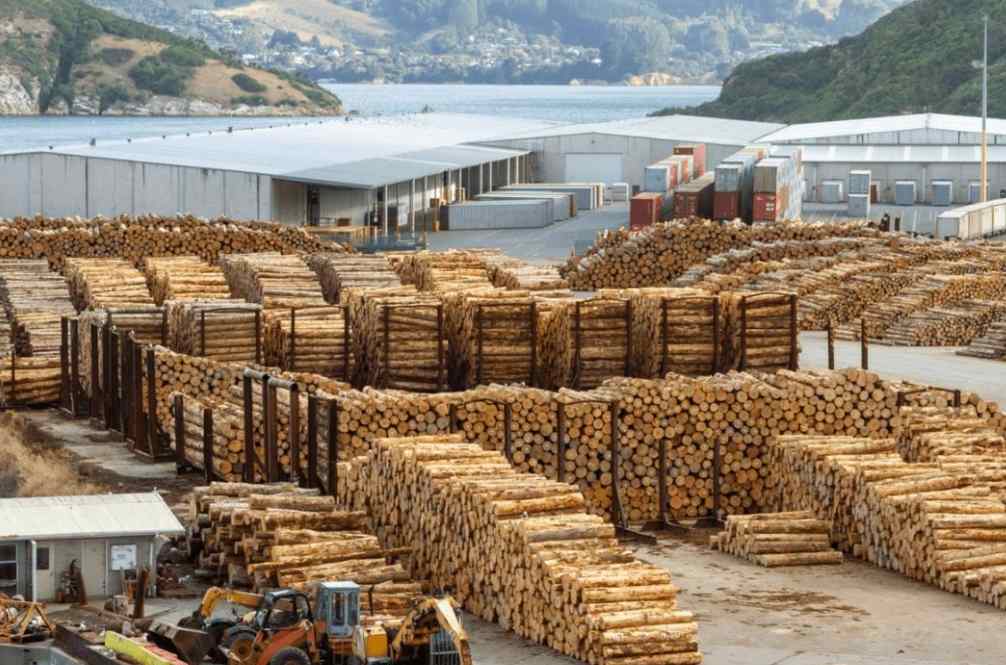 木材出口到欧美的溢价空间是中国市场的2.2–5倍？(图2)