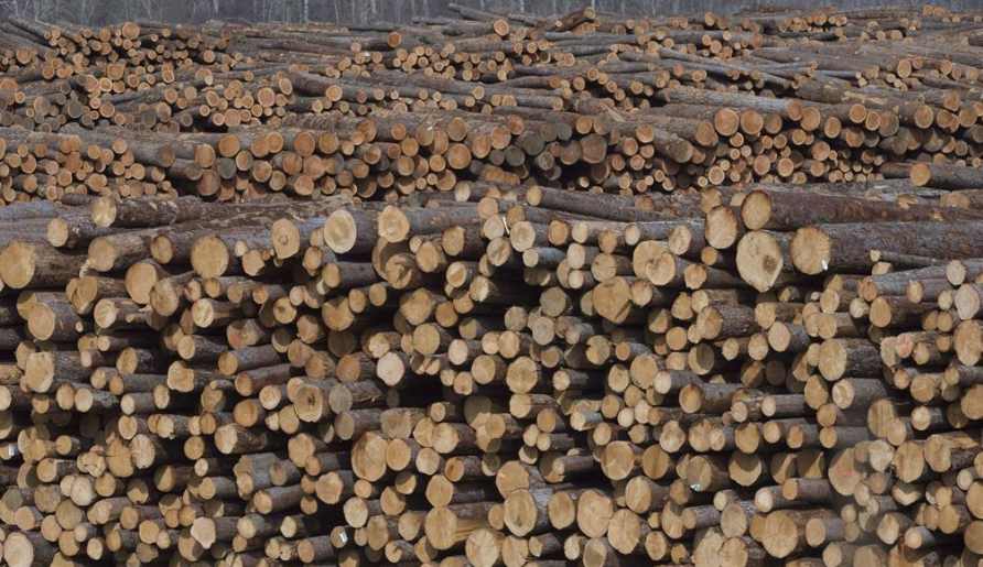 这地省长怒斥：对木材新征收的关税“荒谬至极”！(图3)