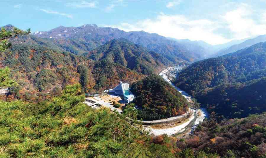 朝鲜启用首个国家森林害虫监测系统，推进林业科学化管理(图1)