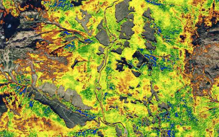 Drax集团与NGIS合作，利用卫星技术监测北美森林碳储量(图1)