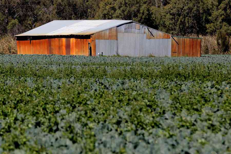 净零目标下的土地争夺:澳大利亚500万公顷农业用地面临转型压力(图2) 净零目标下的土地争夺:澳大利亚500万公顷农业用地面临转型压力(图2)