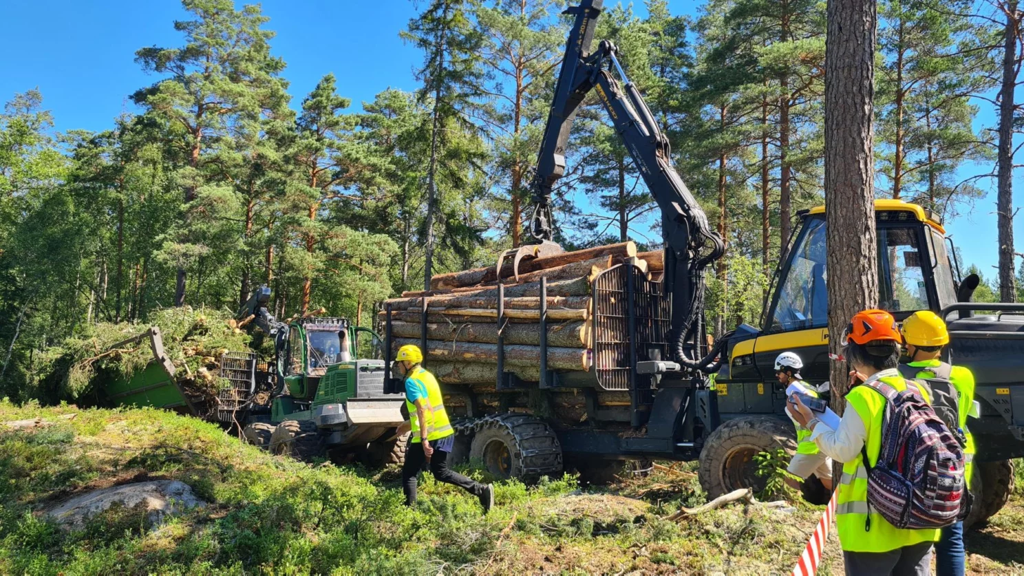 瑞典纸浆与造纸行业呈现矛盾信号:出口增长难掩市场疲软(图1) 瑞典纸浆与造纸行业呈现矛盾信号:出口增长难掩市场疲软(图1)