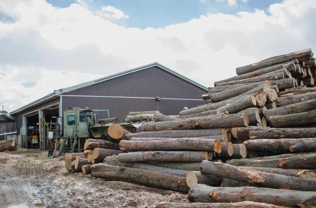 这地再投资3000万支持林业工人!(图1) 这地再投资3000万支持林业工人!(图1)