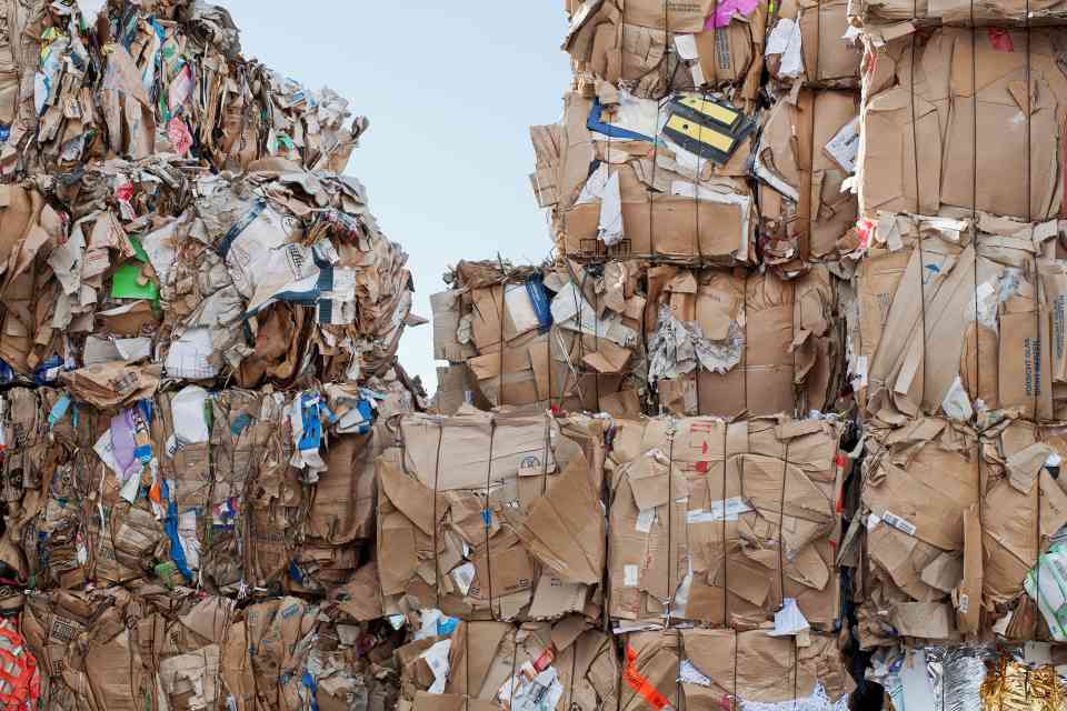 木材能源涨价冲击，澳大利亚纸板制造企业面临生存考验(图1)