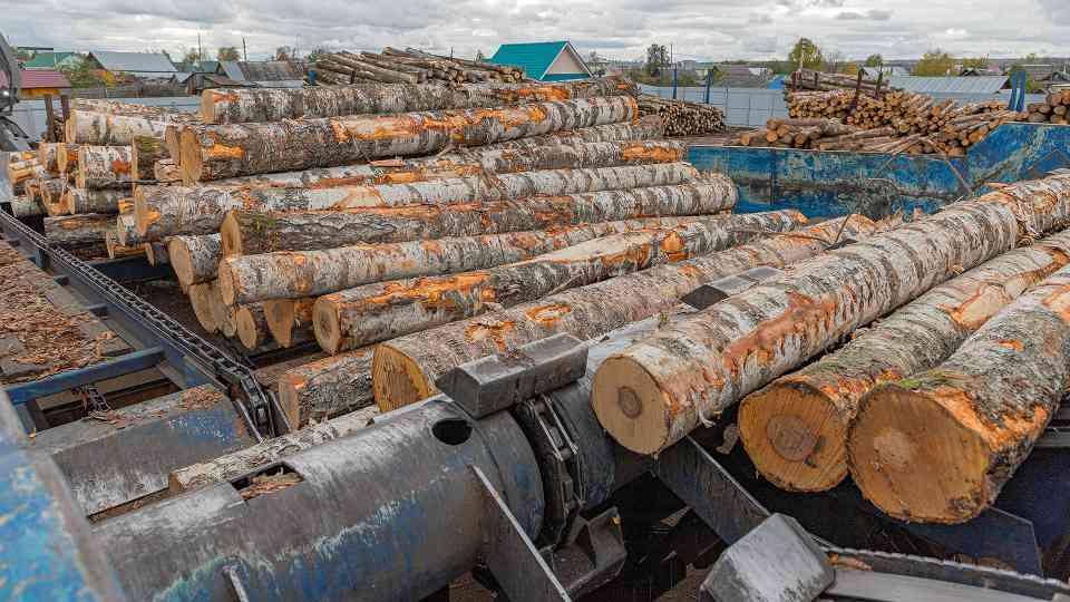 10%权重够吗？新西兰木材业称新采购规则难阻工厂关闭潮(图2)