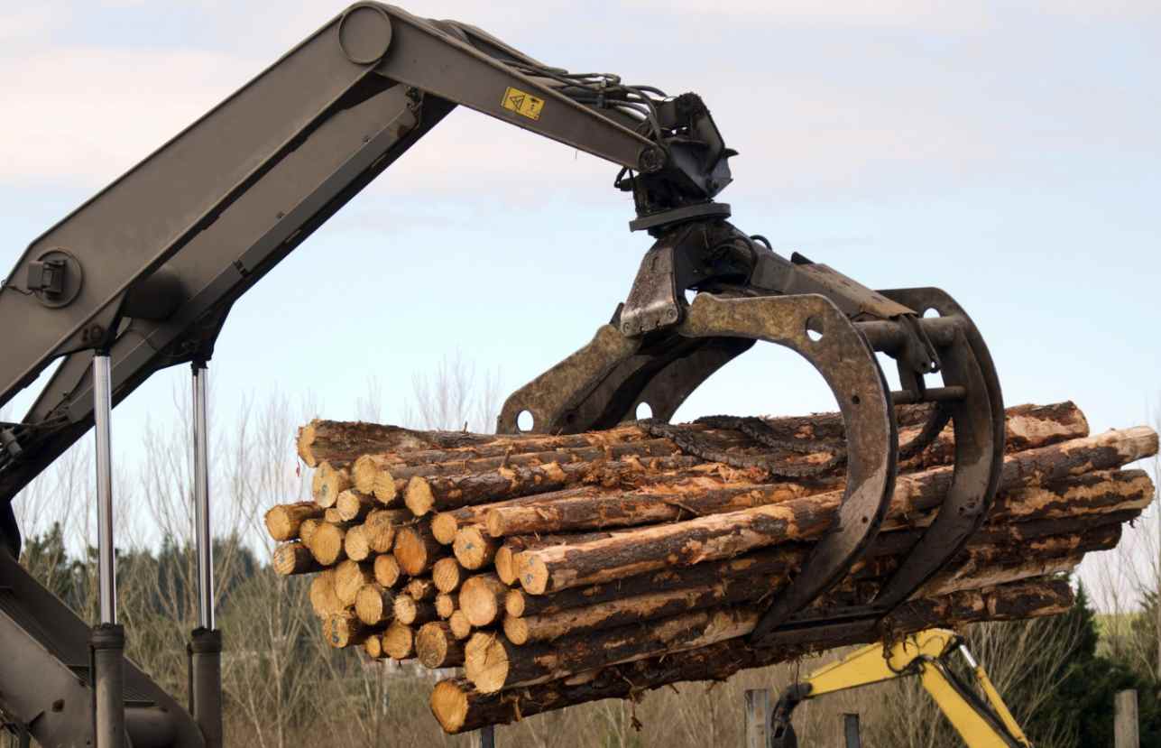 木材实现增产25%？专家：需新建70家锯木厂，单厂造价估计约2亿(图1)