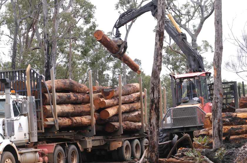 木材实现增产25%？专家：需新建70家锯木厂，单厂造价估计约2亿(图4)