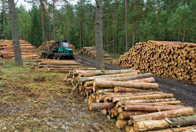 这地提出多项木材行业改革措施,小型锯木厂准入门槛调低!(图1) 这地提出多项木材行业改革措施,小型锯木厂准入门槛调低!(图1)