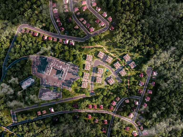 艺术家构想森林外交:在古树下用晚餐推动塔斯马尼亚林业新政(图1) 艺术家构想森林外交:在古树下用晚餐推动塔斯马尼亚林业新政(图1)