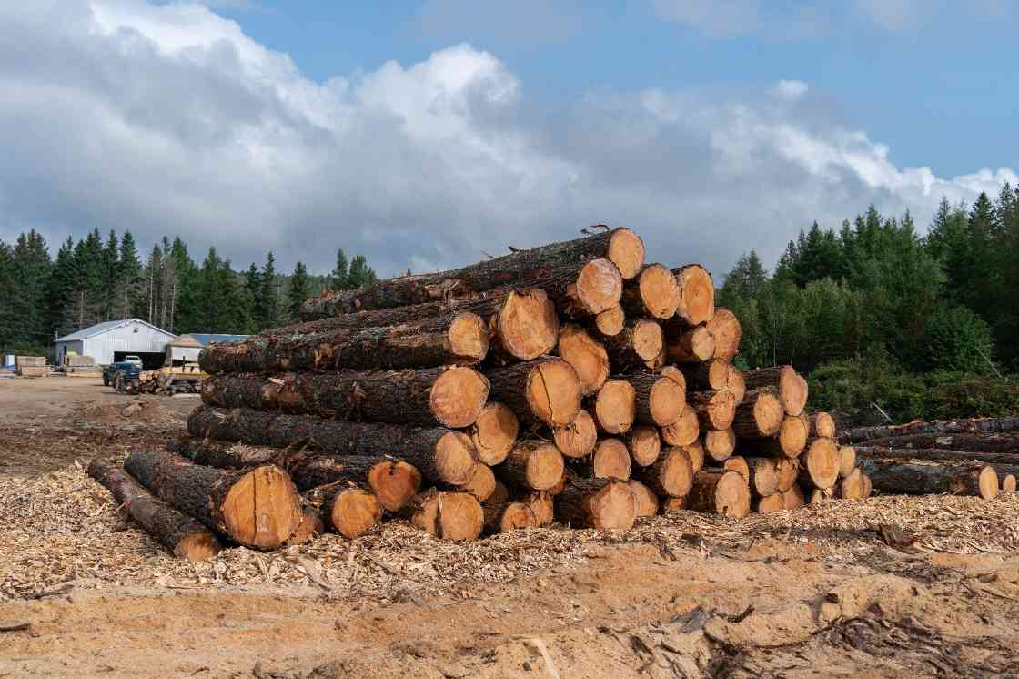 贸易多元化突破：加拿大木材出口转向东南亚，减少对美依赖(图1)