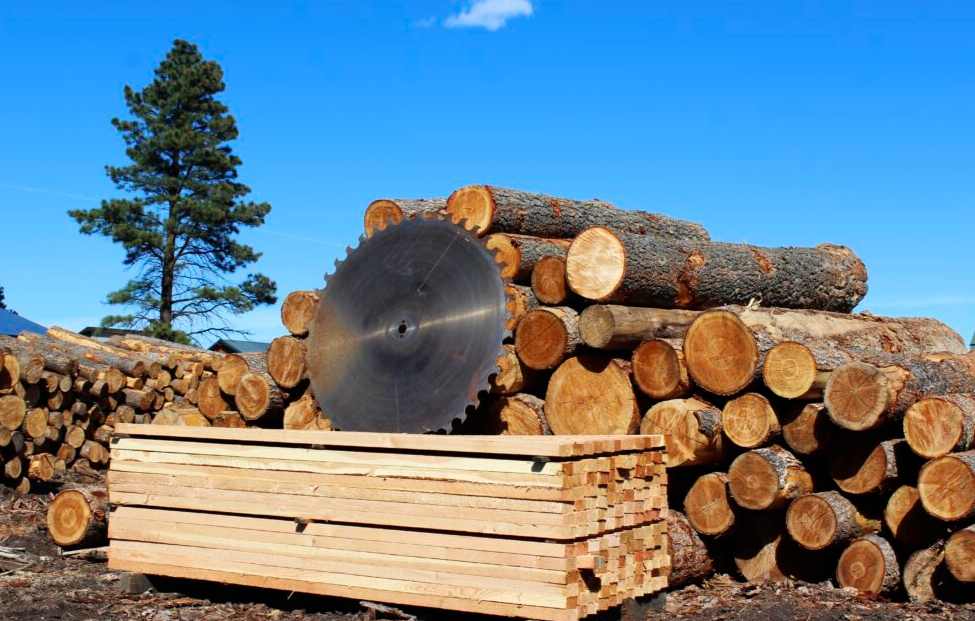 这地提出多项木材行业改革措施,小型锯木厂准入门槛调低!(图3) 这地提出多项木材行业改革措施,小型锯木厂准入门槛调低!(图3)