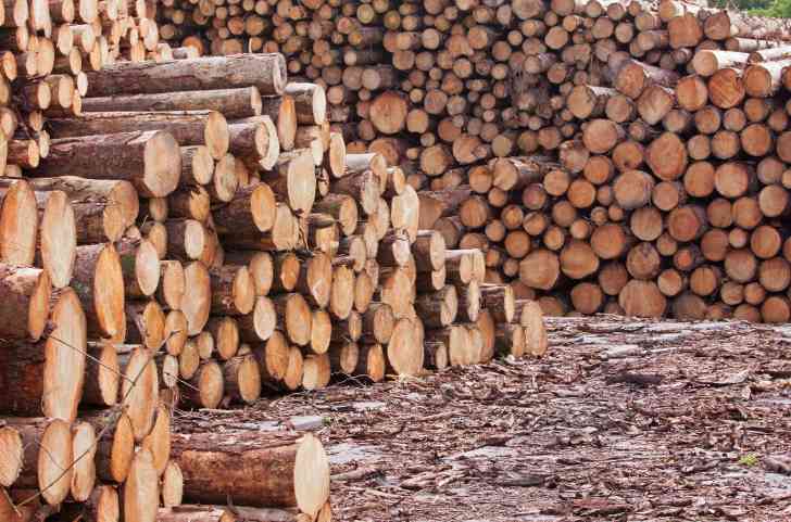 木材加工真香了?这地一年创收32亿,2.7万个就业岗位!(图1) 木材加工真香了?这地一年创收32亿,2.7万个就业岗位!(图1)