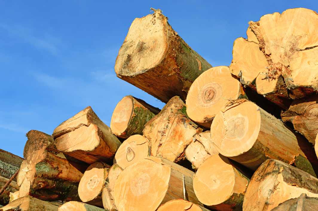 原木短缺，成本持续攀升，木材厂宣布无限期停业！(图3)